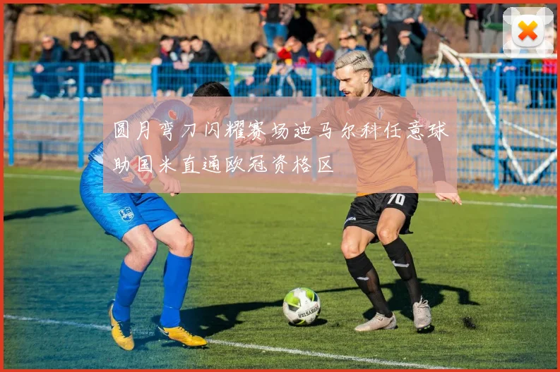 圆月弯刀闪耀赛场迪马尔科任意球助国米直通欧冠资格区